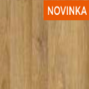 Dub prírodný